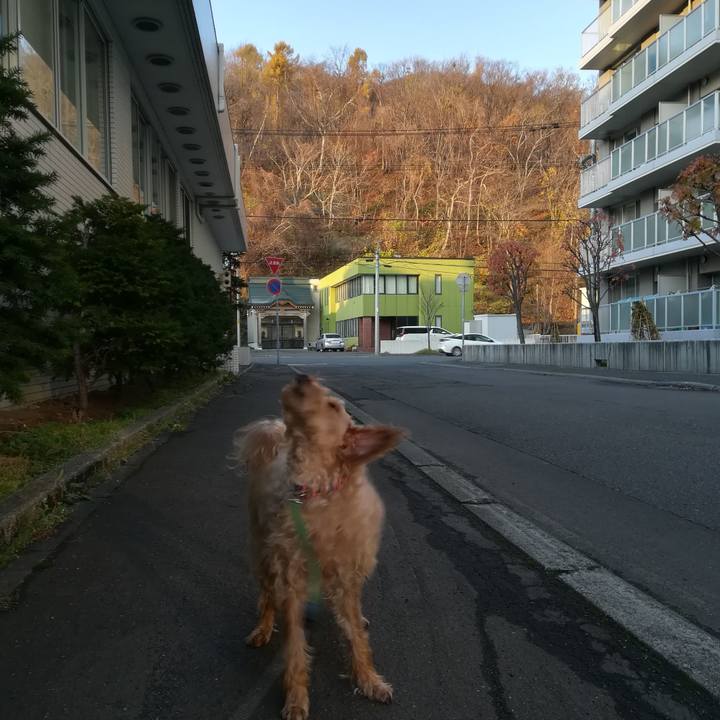 Ecd8ddde 1937 4521 9bd5 c763b46c9ad8 1573616574054