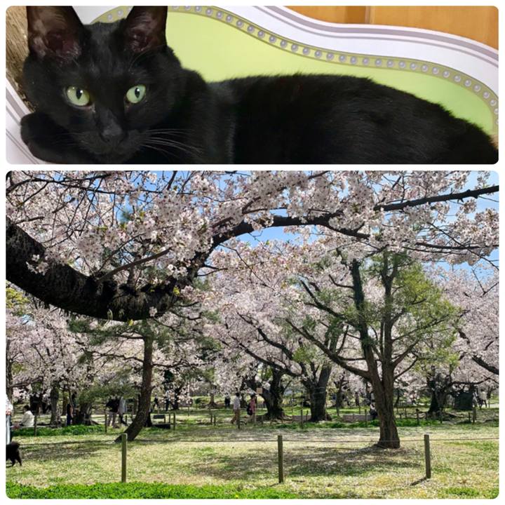 Ecd916eb 8276 431a a490 cb366819312d 1616843486007