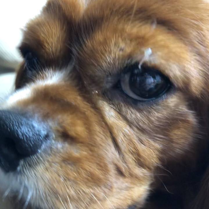 Ecd940df 279d 4fb6 b9d2 7c5d1e70b7bd 1599868083810