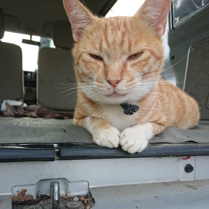 Ecd94a1f 66e7 496c b140 241f102330a6 1563527984758