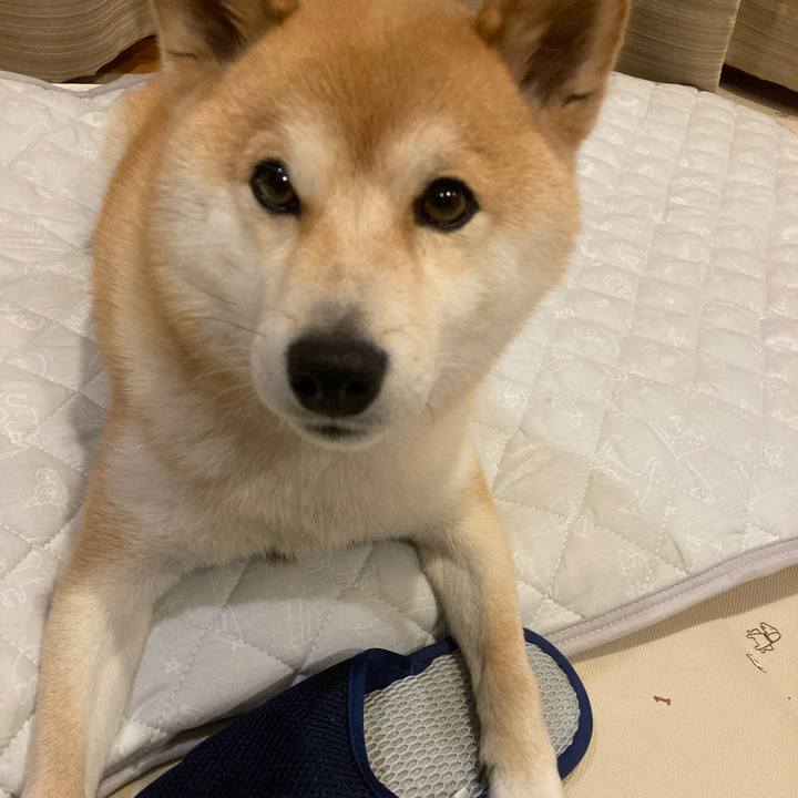 Ecd95632 0293 4b34 9fcd 5aacc280dfca 1682248367389