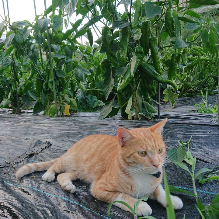 Ecd987a3 c192 421a bc25 1543339fc4b2 1564220407828