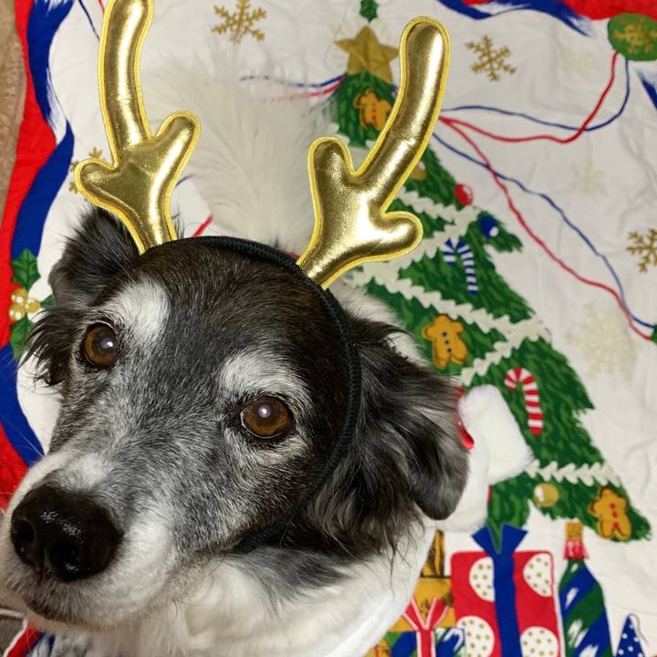 Ecd98d29 07f1 42d1 92f8 5a12ef4c47b8 1577197769767