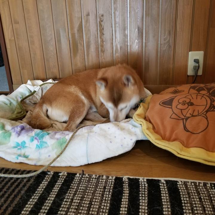 Ecda6311 99a9 4c5c bf3f a1380fa62cb6 1565419924763