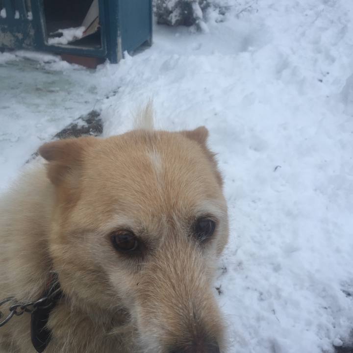 Ecda9ad1 e713 452c 8e73 2ee75e9d7c6a 1512652293426