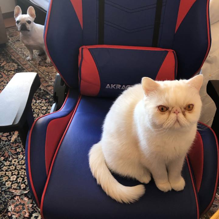 Ecdabd12 5162 45ae b1ea a04f2ae7e1b6 1676521194183