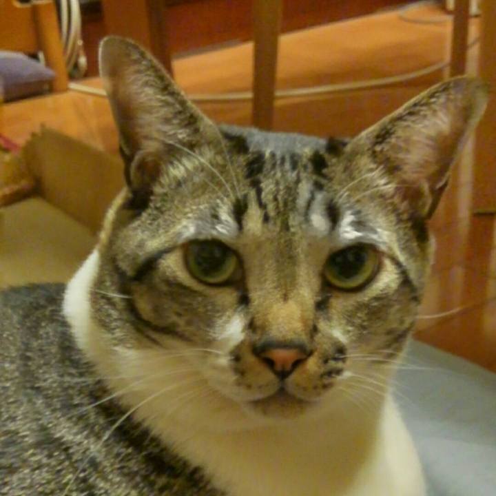 Ecdb440c f840 4be7 a781 7e04f0c596e8 1510563549238