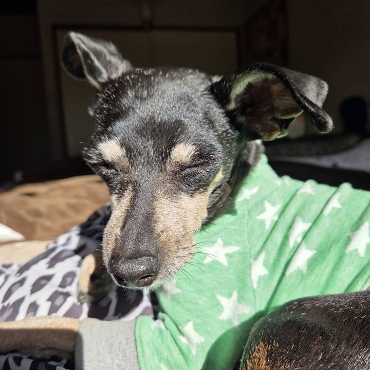 Ecdb7006 6626 40bd 980d 1dc5137e5c1a 1762748330844