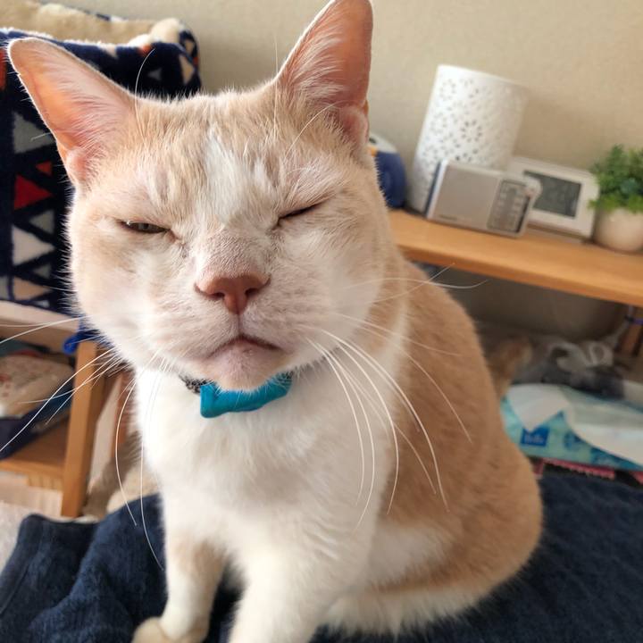 Ecdb71e7 acf5 48fa b2ea 8a65877aea42 1608422984381