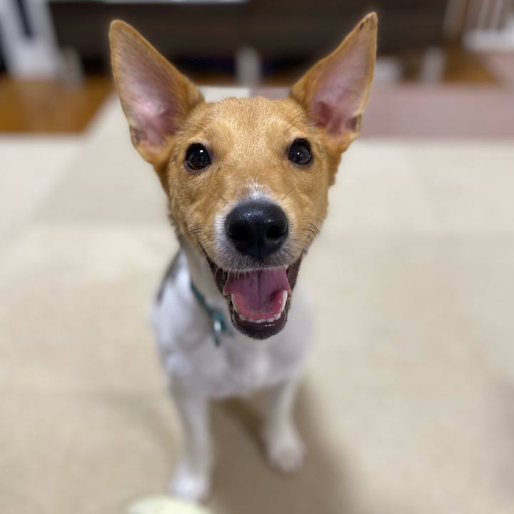 Ecdb785b a300 47fe aeae 6ac05024ba3d 1759020735098