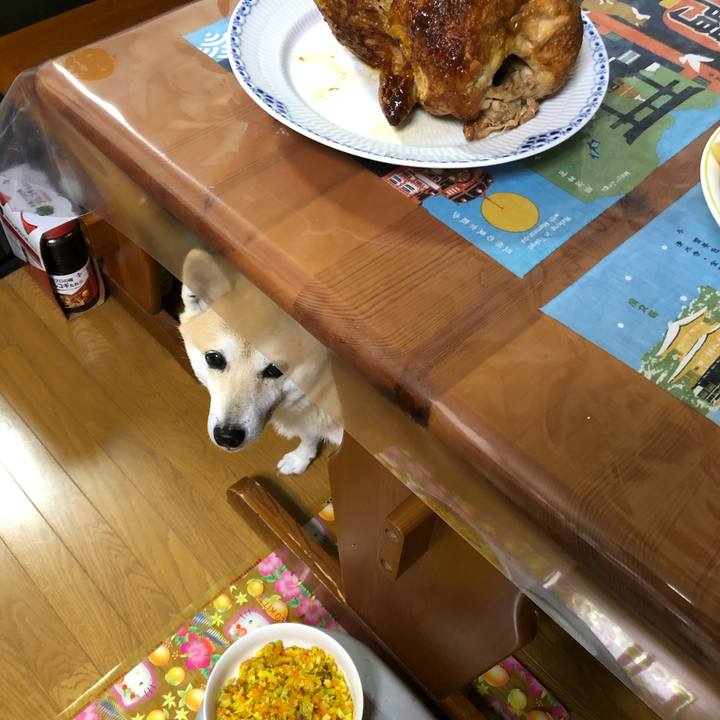 Ecdb826f 0ded 4786 854f 2a9577824f30 1576929414889