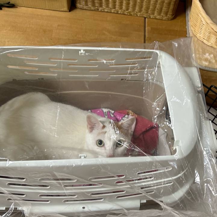 Ecdb8d7c 8725 4fdf b05f 0b703dc7af4e 1676886715832