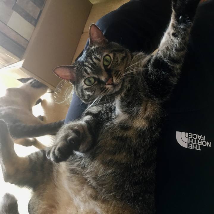 Ecdb91d9 acb8 4491 a831 49cf7eea58c1 1590200557405