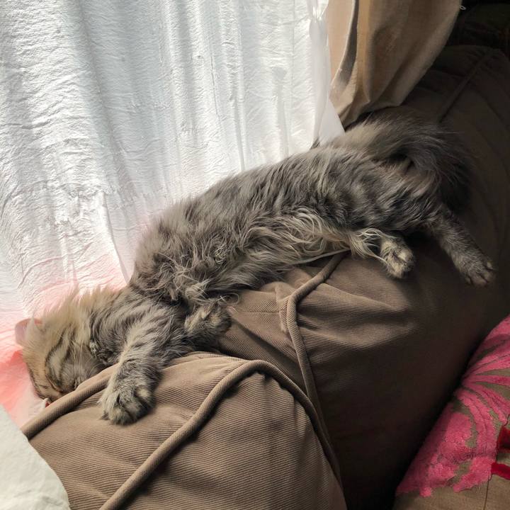 Ecdbc580 e32d 4b87 bec9 b68a16aea68e 1524461675358