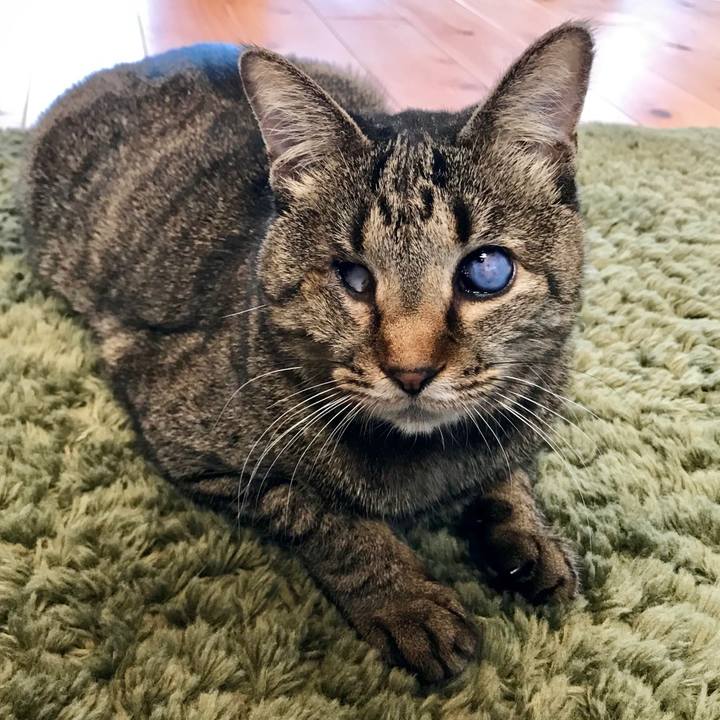 Ecdbe1bd 5c8d 4360 bcee 151307e1138a 1550722612752