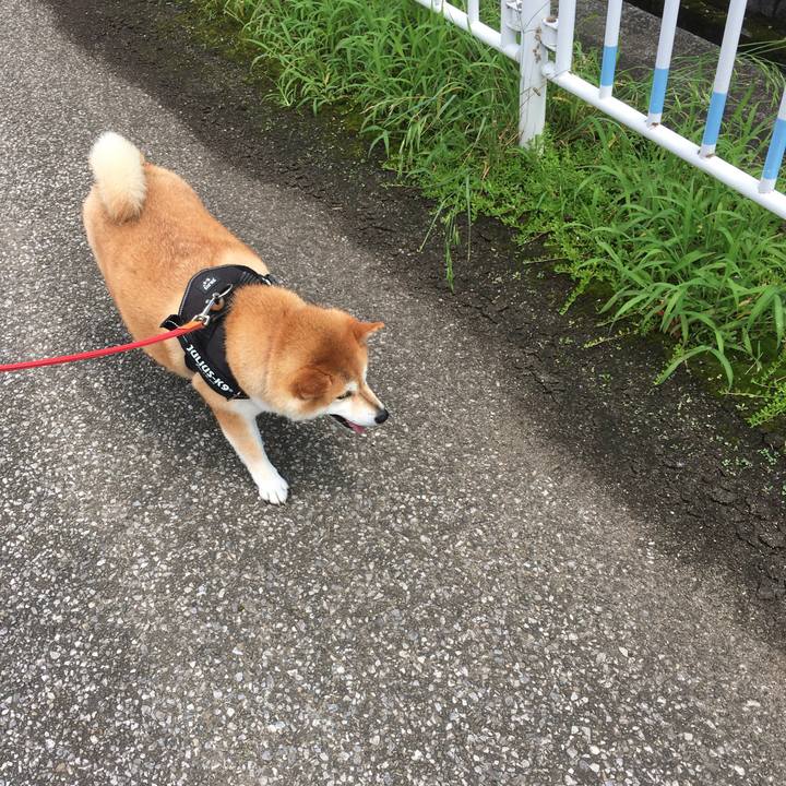 Ecdbe954 0396 4cfa 902e e30a154f3244 1595391973471