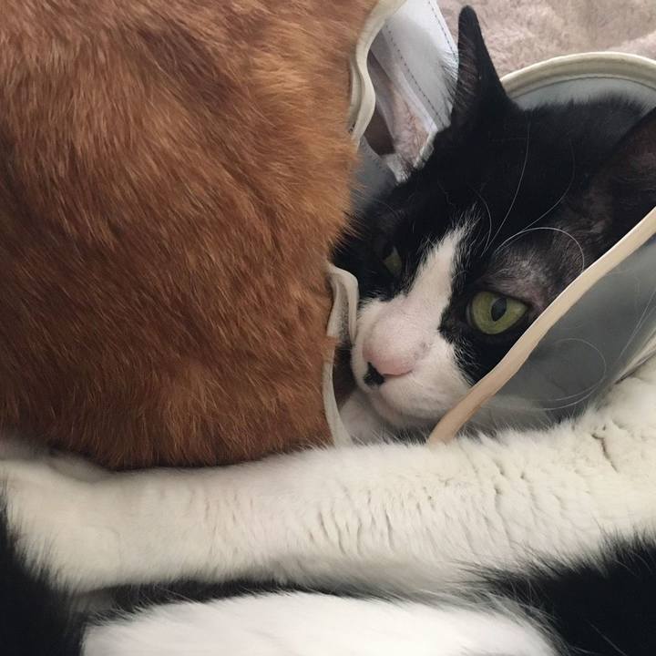 Ecdbfe09 89ee 42b6 9123 9da62c9c375d 1591605062658