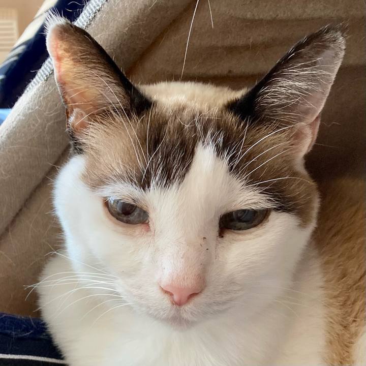 Ecdc182a de06 487f af0b a07b6cdc5ce0 1675474313086