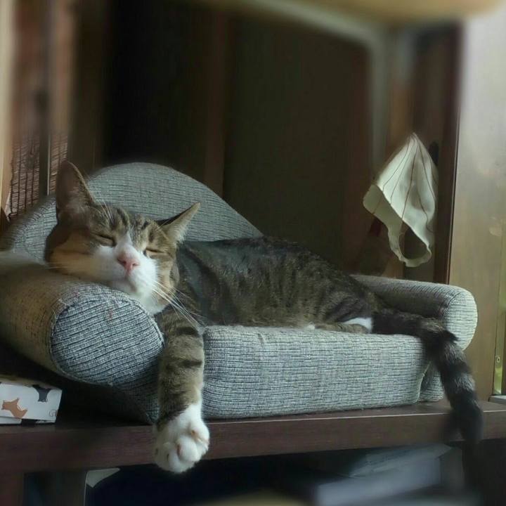 Ecdc239b 585d 499c 8f08 6f59db300d12 1564031462798