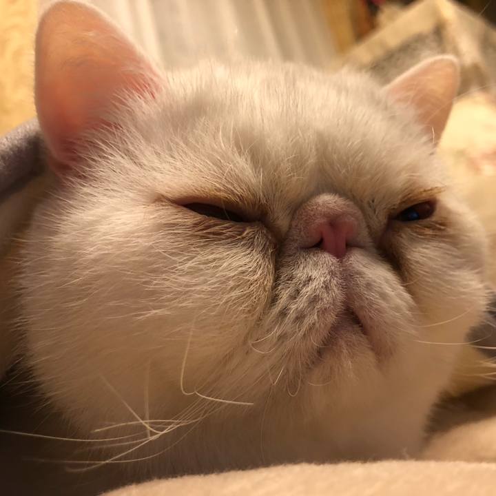 Ecdc77bc 4234 4d9c 8deb 93085c31a8fb 1675345498323