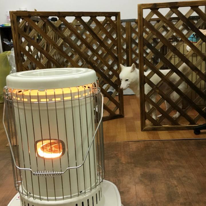 Ecdc8c57 add0 4d65 90bd 5e9af840def6 1513177396546