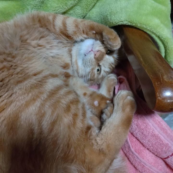 Ecdd18d9 c003 4ff4 a809 c12e68e5e980 1668861153178