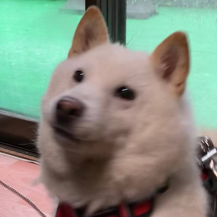 Ecdd27bc f9db 4f52 b3ce 721d97388f14 1656496728447