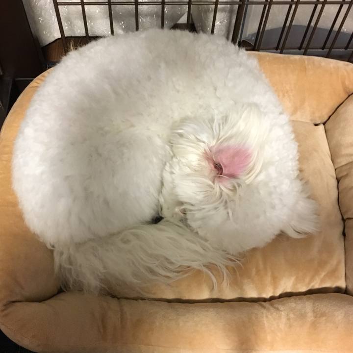 Ecdd8112 381d 4a9c 9ba5 df09ce78f589 1511447606012