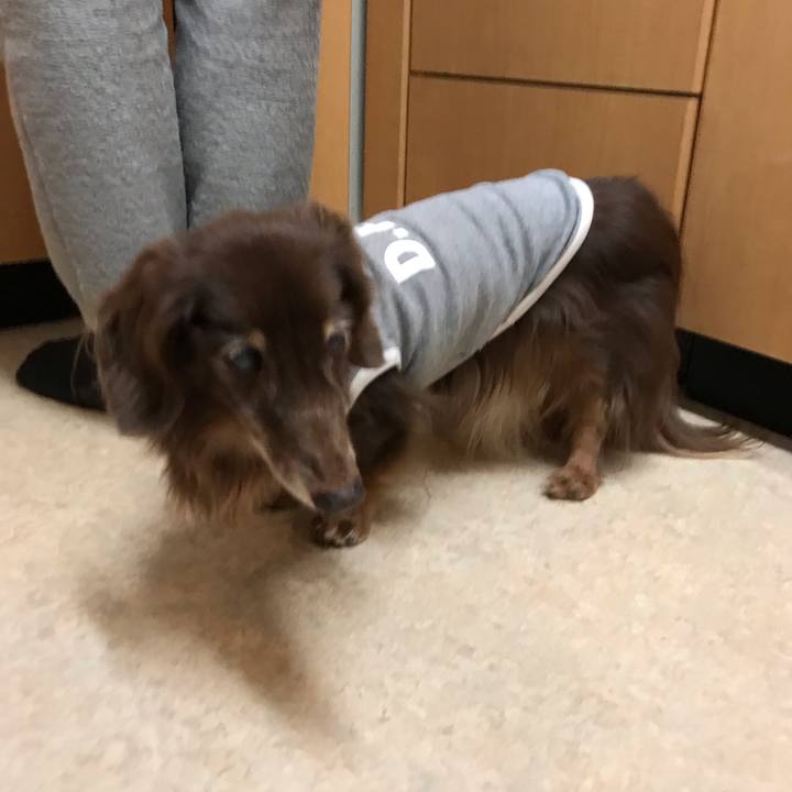 Ecddc7e5 dcb0 416a 8001 c4403d66cfa3 1546176554545