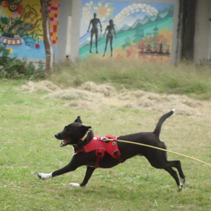 Ecdde0b2 226a 48cd a5c3 57f8d9adf07d 1602806943202