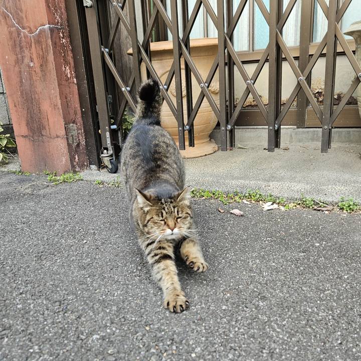 Ecdde73a f613 48cd a5ed d3703b9524d8 1706948483319