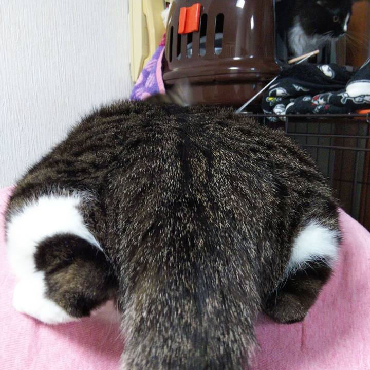 Ecde0a8a fc27 45fd b201 9470b54eb038 1645968851256