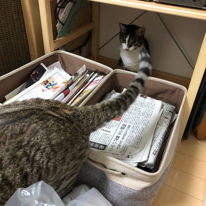 Ecde29ef 3031 4693 88c4 867a5024d077 1522248434163