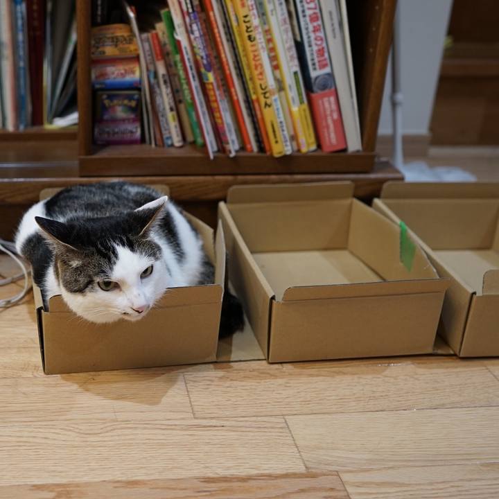 Ecde7bad f322 49aa 8eae bd4e06c16f4a 1559226203726