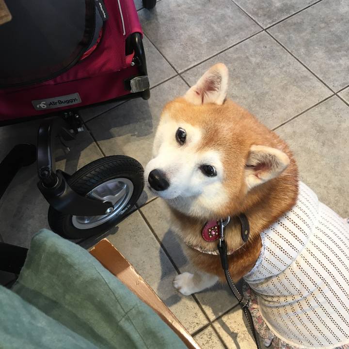 Ecde7cbe 6249 4d52 bd2a d230fa57956c 1537421221062