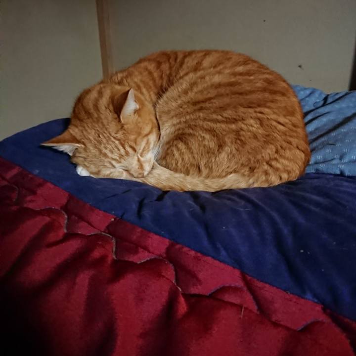 Ecde9f5b 2465 4381 8728 ae5b08def386 1579567905006