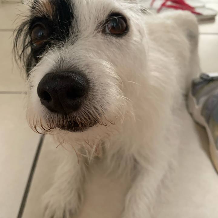 Ecdeab0c 2ac7 4315 bb7a 020de95f90ea 1693351084877