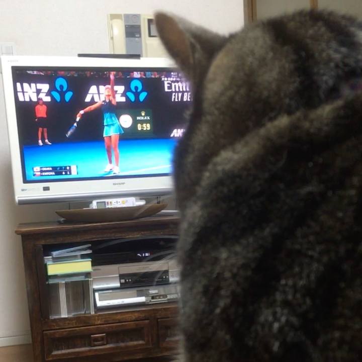 Ecded6cd 5fe2 4757 9886 5b7673c876c3 1548496470265