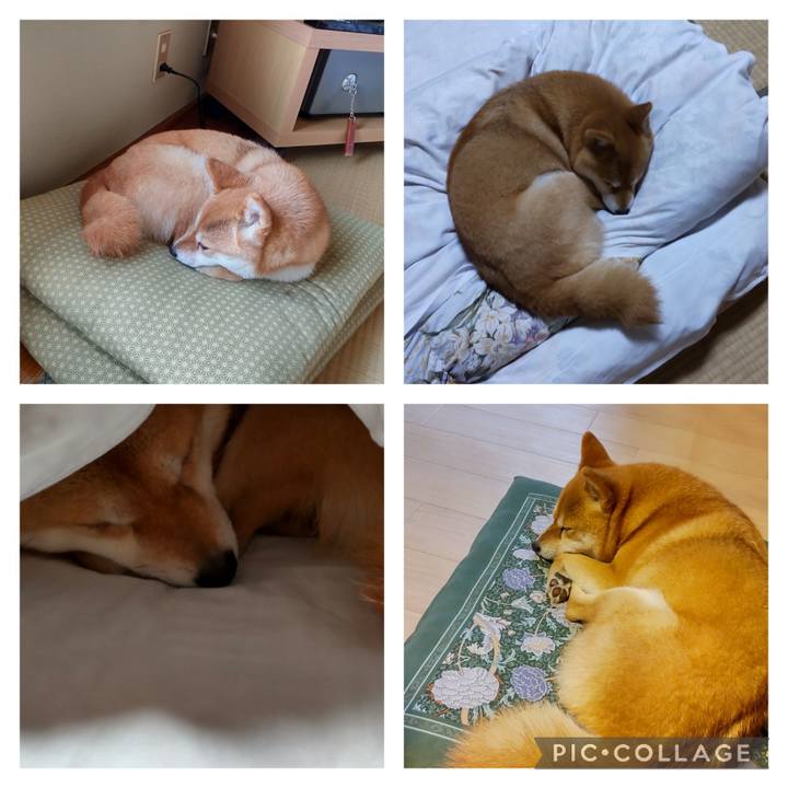 Ecdee34f c649 4355 b821 20dec076324a 1715754270473