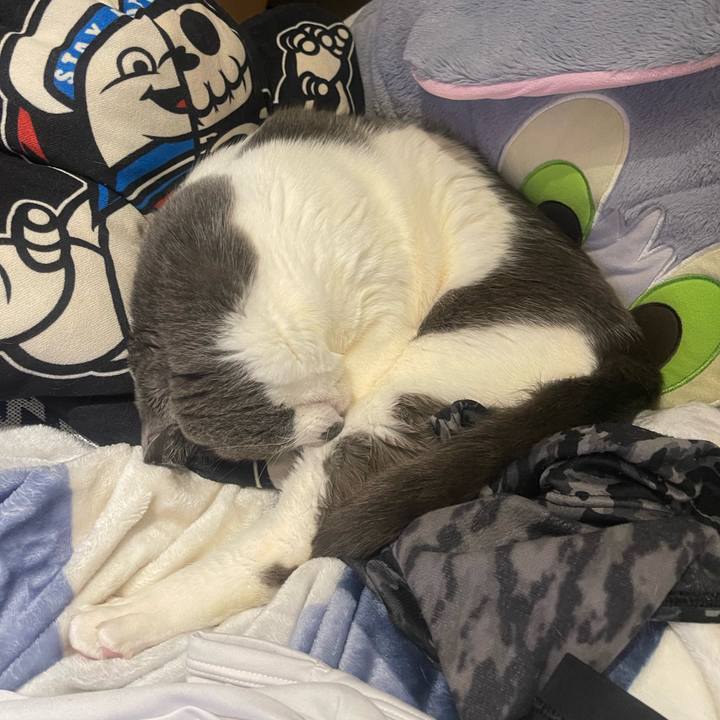 Ecdeeb33 ffe4 4eae a3bf 19180767b75a 1706360778291