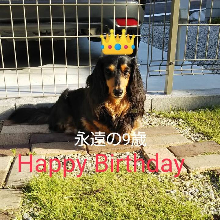 Ecdeed9c 26e6 48f0 9950 2b1450a34789 1624669176958