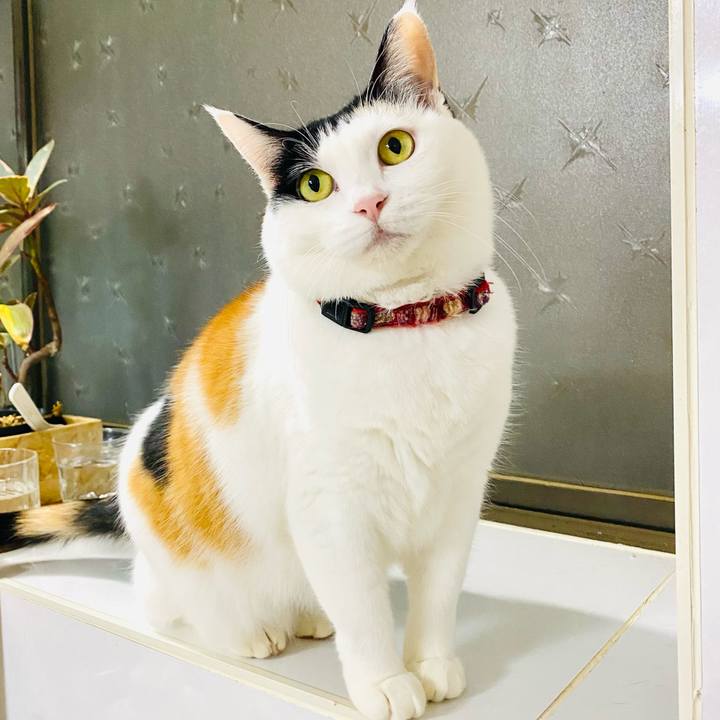 Ecdf0691 9f91 4a02 9bbf 9c4cb681db0d 1701697535249