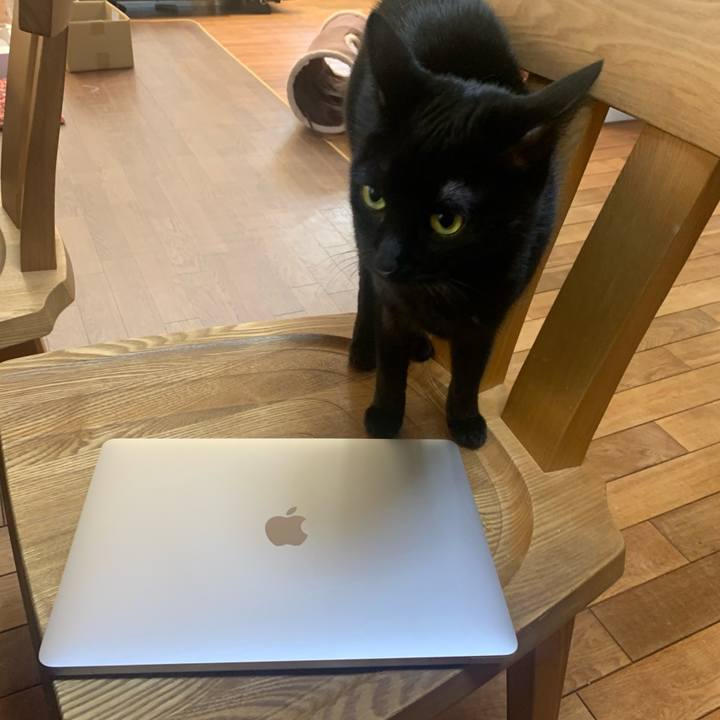 Ecdf26b3 6a0f 4511 8687 0582d97d2928 1641199899365