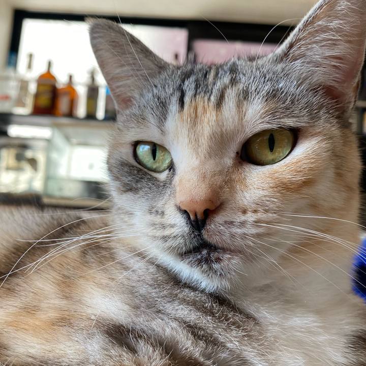 Ecdf4e57 c7fa 49c8 802b 34ec77dfbe91 1613007753119