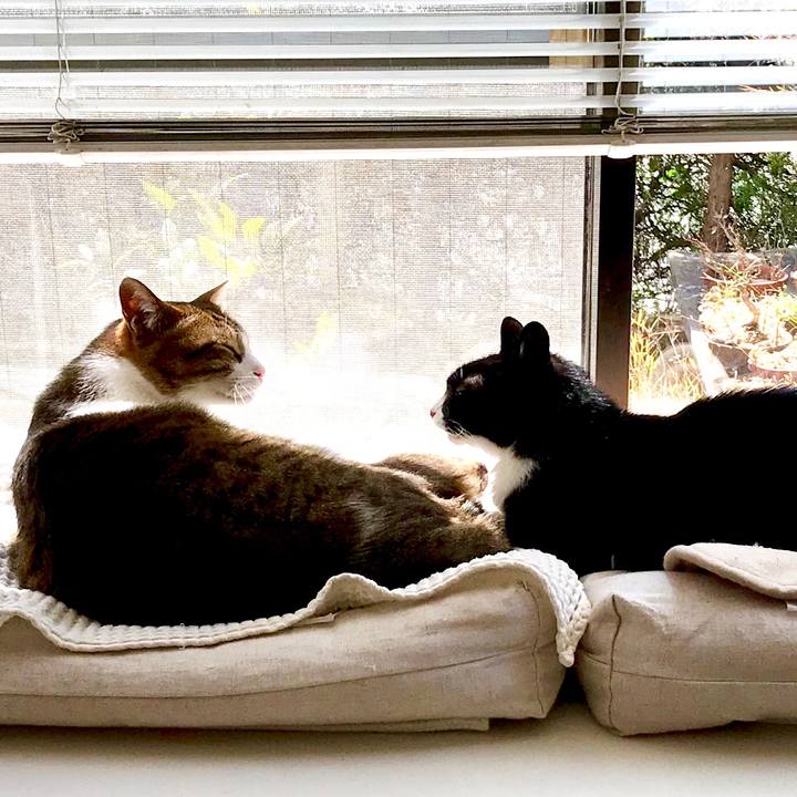 Ecdf584e 4ae6 44af 8b3f ebe2c49c92e7 1521093222327