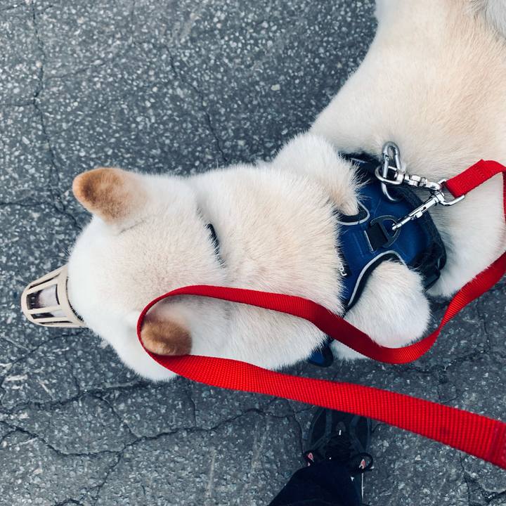 Ecdf676b 9919 4503 87e1 b5fbf845ee2c 1631915572600