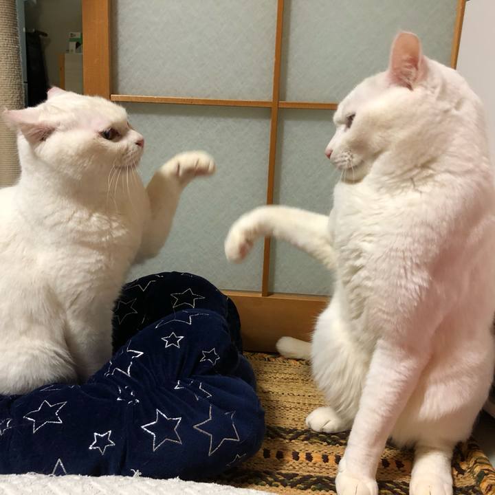 Ecdf6bd6 a222 4138 8e46 7e75485c8ee6 1548836743156