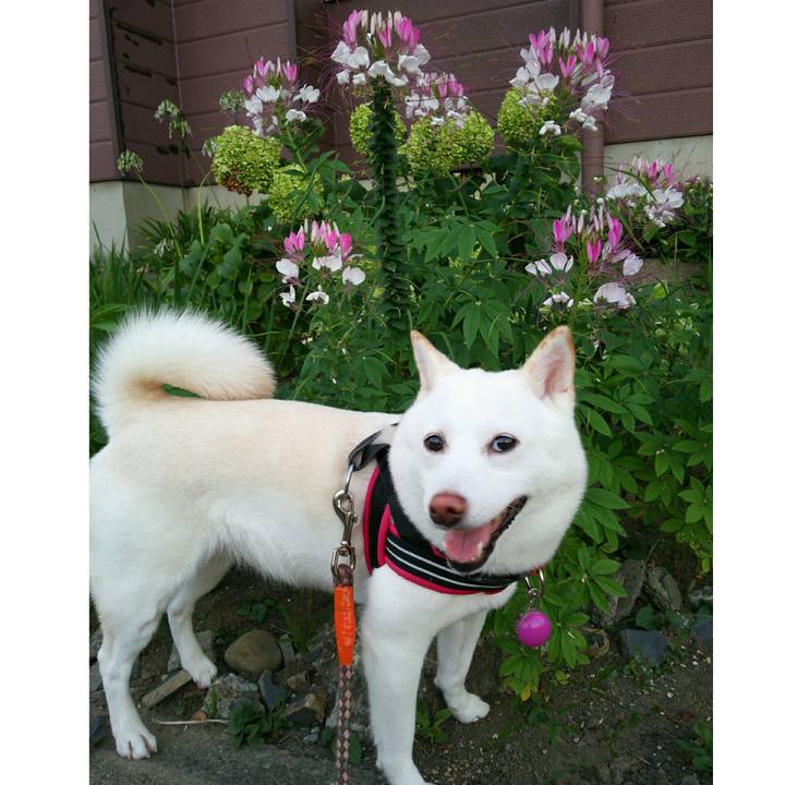 Ecdf7b0f 4e7c 4045 bd82 66204e18f555 1565173356463