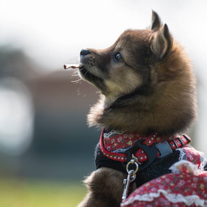 Ecdfdb86 564a 4f05 8bdf b8a90051974c 1522111858610