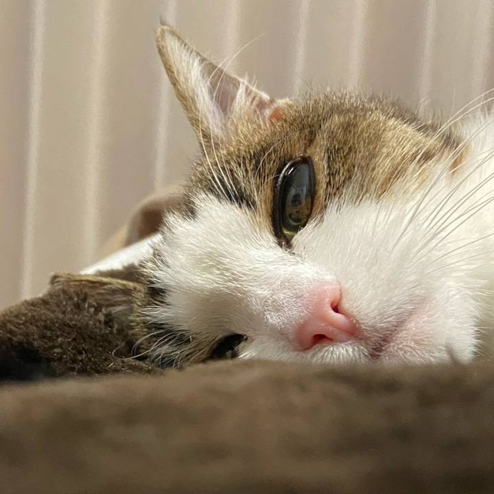 Ecdff48a 0947 464e b000 25fa7aa5403b 1582023598548